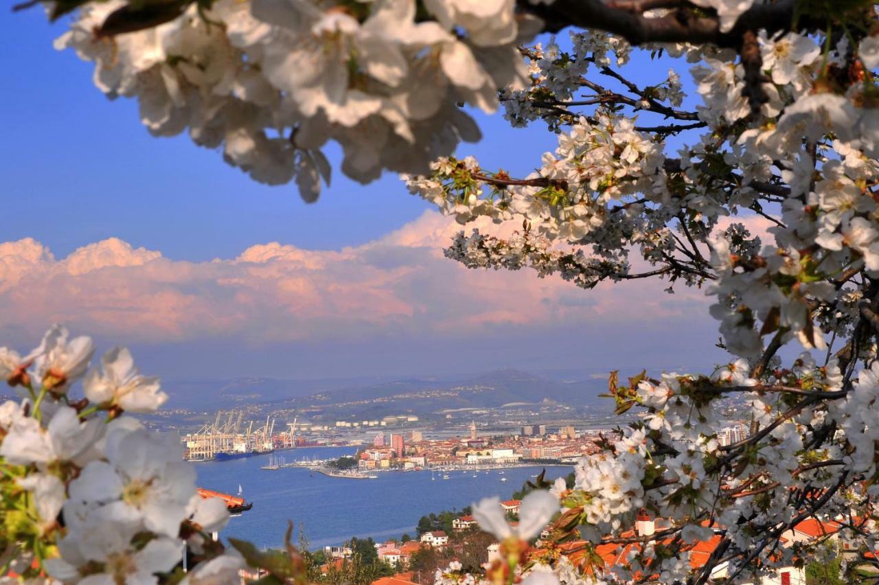 Apartmán Razgled/The View Koper Exteriér fotografie